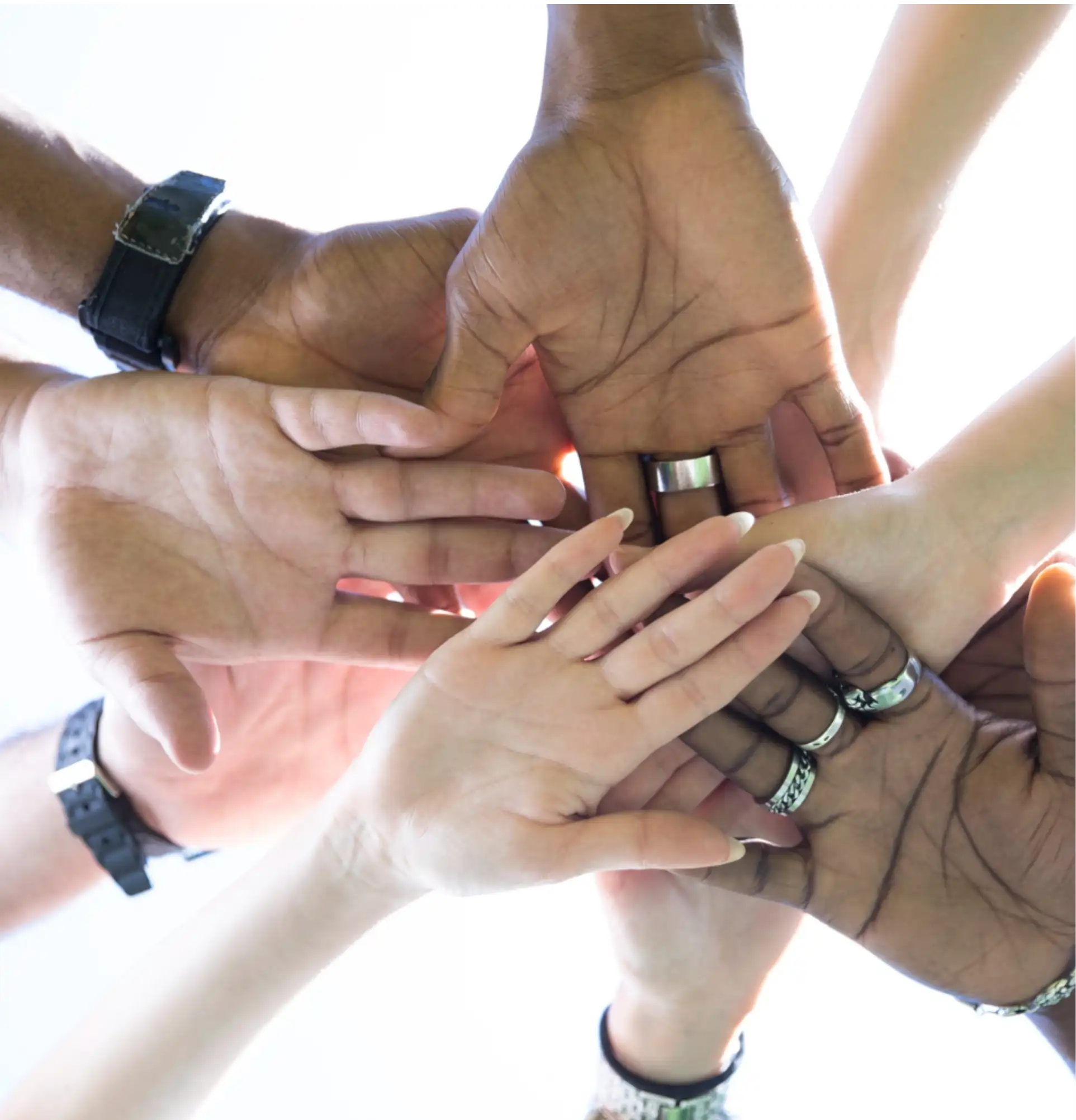 Person holding money
